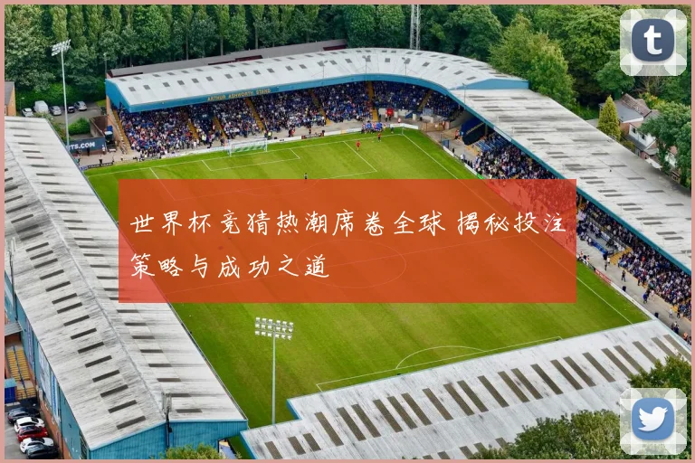世界杯竞猜热潮席卷全球 揭秘投注策略与成功之道