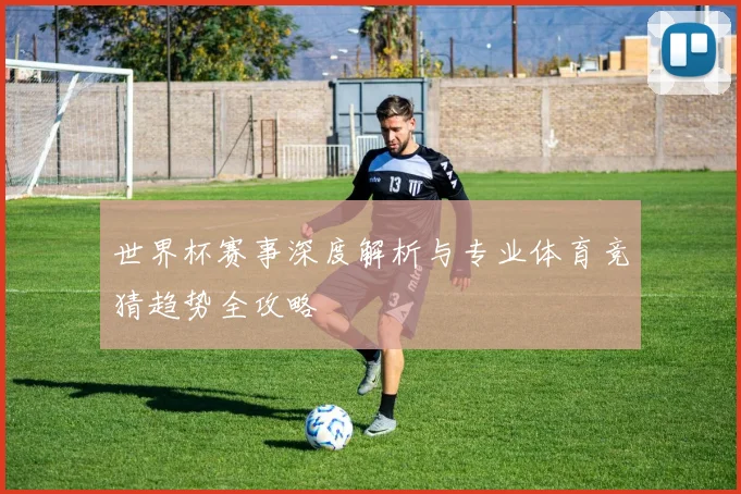 世界杯赛事深度解析与专业体育竞猜趋势全攻略