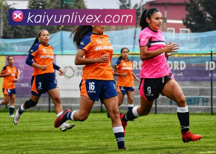 开云娱乐全站App